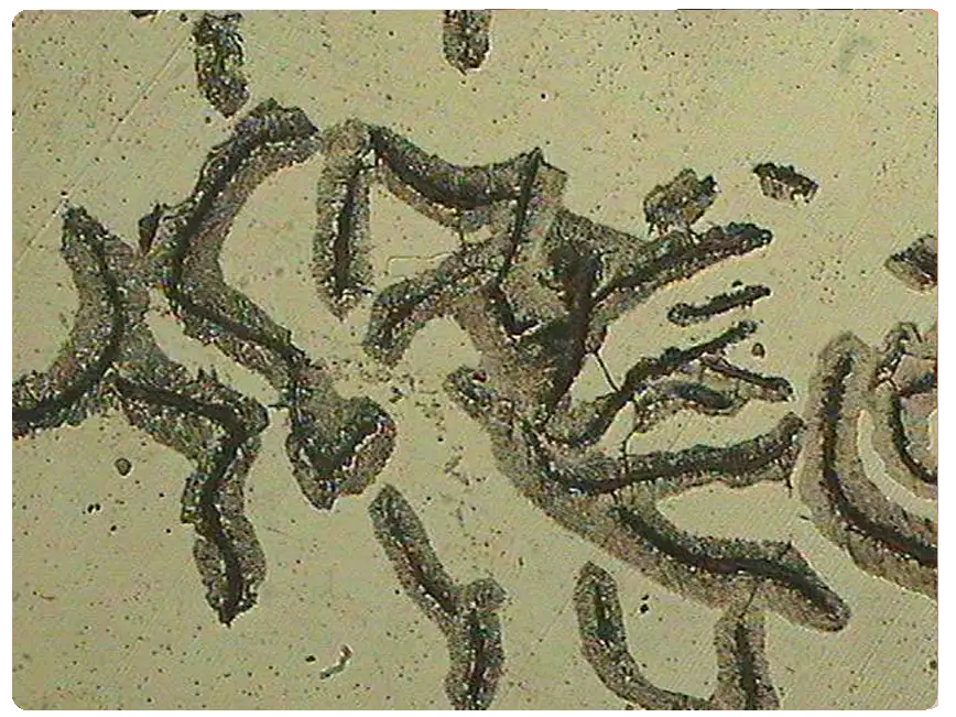 مرکز متالورژی اندیشه پارسیان