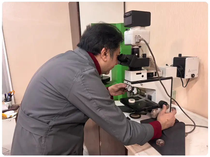 متالورژی پارسیان